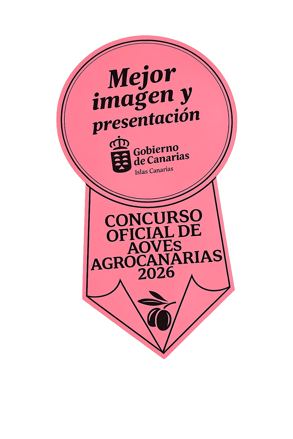 Premio mejor imagen y presentación