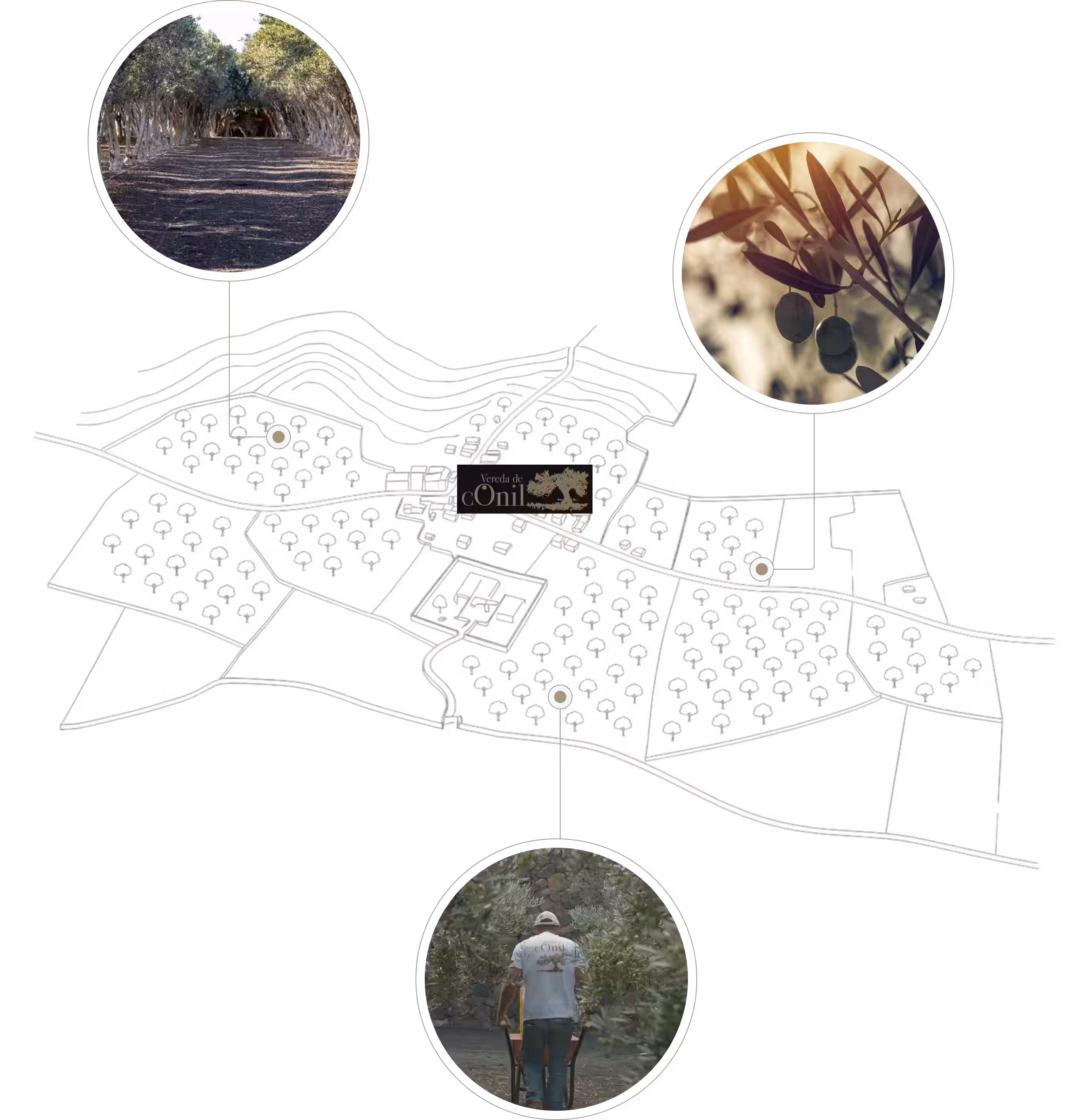 Vereda de Conil — vista de la finca