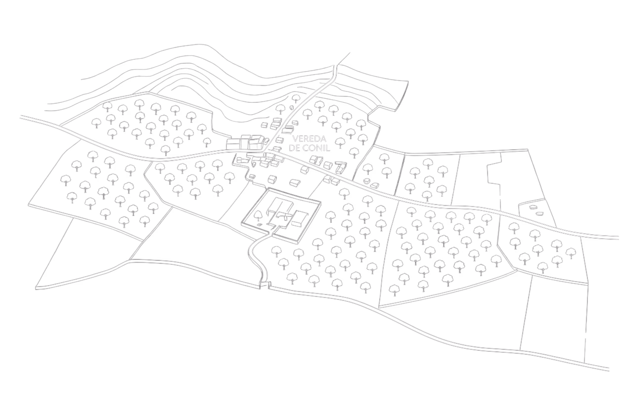 Vereda de Conil — vista aérea de la finca